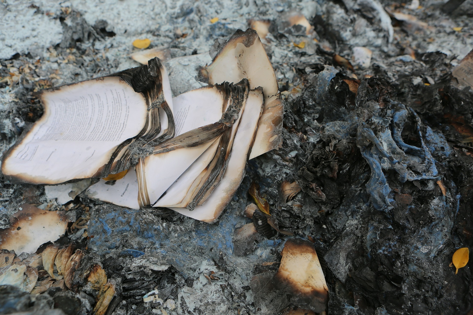 burned books