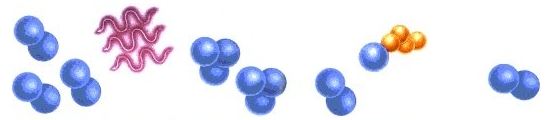 ozone process